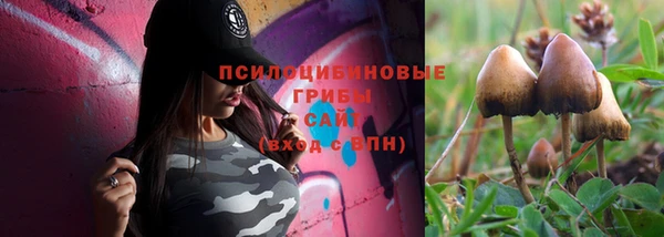 прущие крисы Лабытнанги