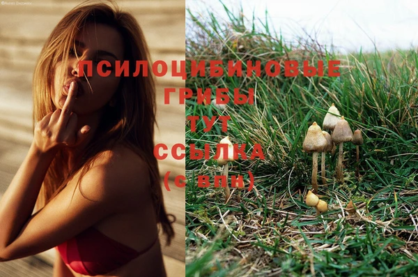 амфетамин Лагань