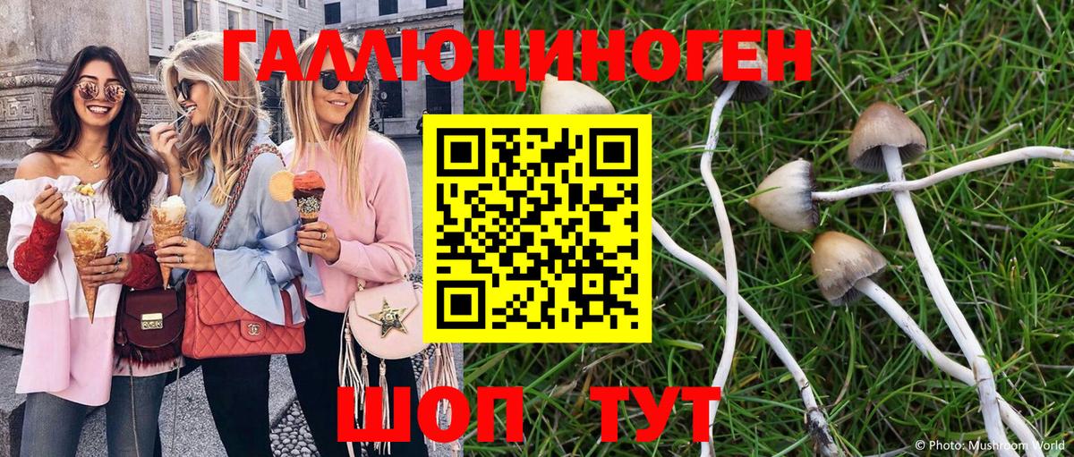 Псилоцибиновые грибы MAGIC MUSHROOMS Березники